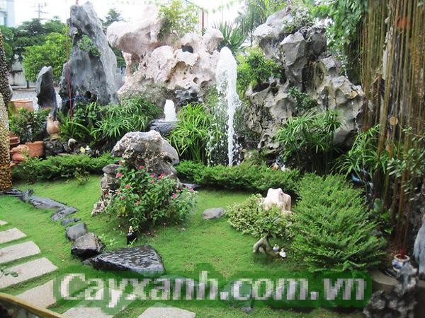 cay-cong-trinh-1-1-711x400 Thiết kế cây công trình tiểu cảnh sân vườn đậm chất Châu Âu